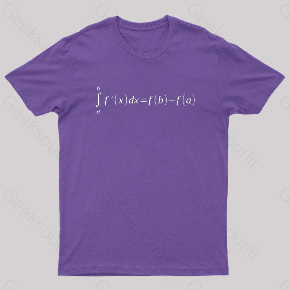Fundamental Theorem Of Calculus Math Geek T-Shirt Purple / S