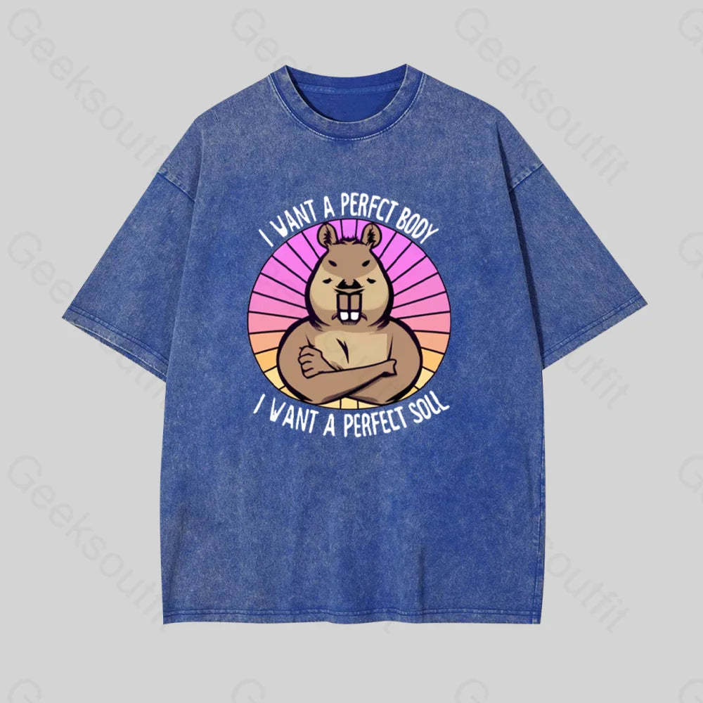 Funny Capybara Geek Washed T-Shirt Blue / S