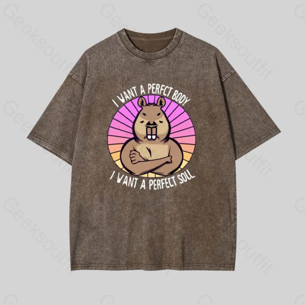 Funny Capybara Geek Washed T-Shirt Coffee / S