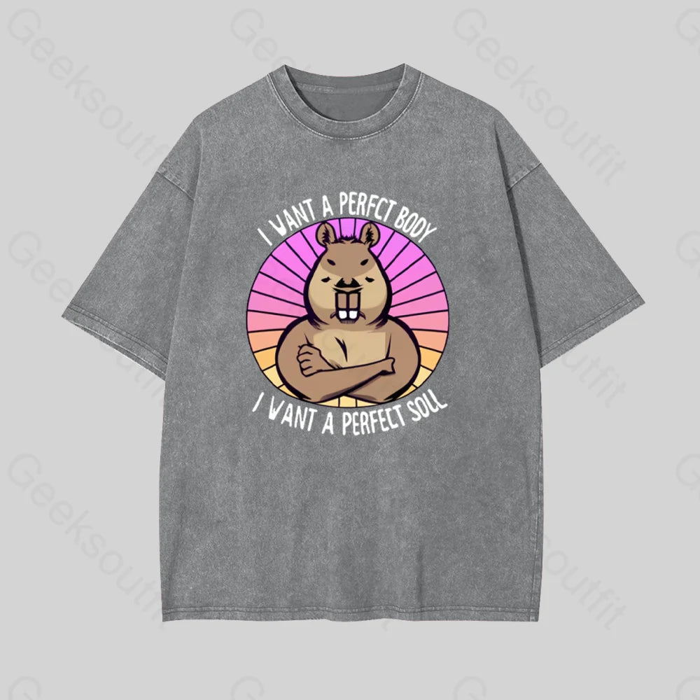 Funny Capybara Geek Washed T-Shirt Grey / S