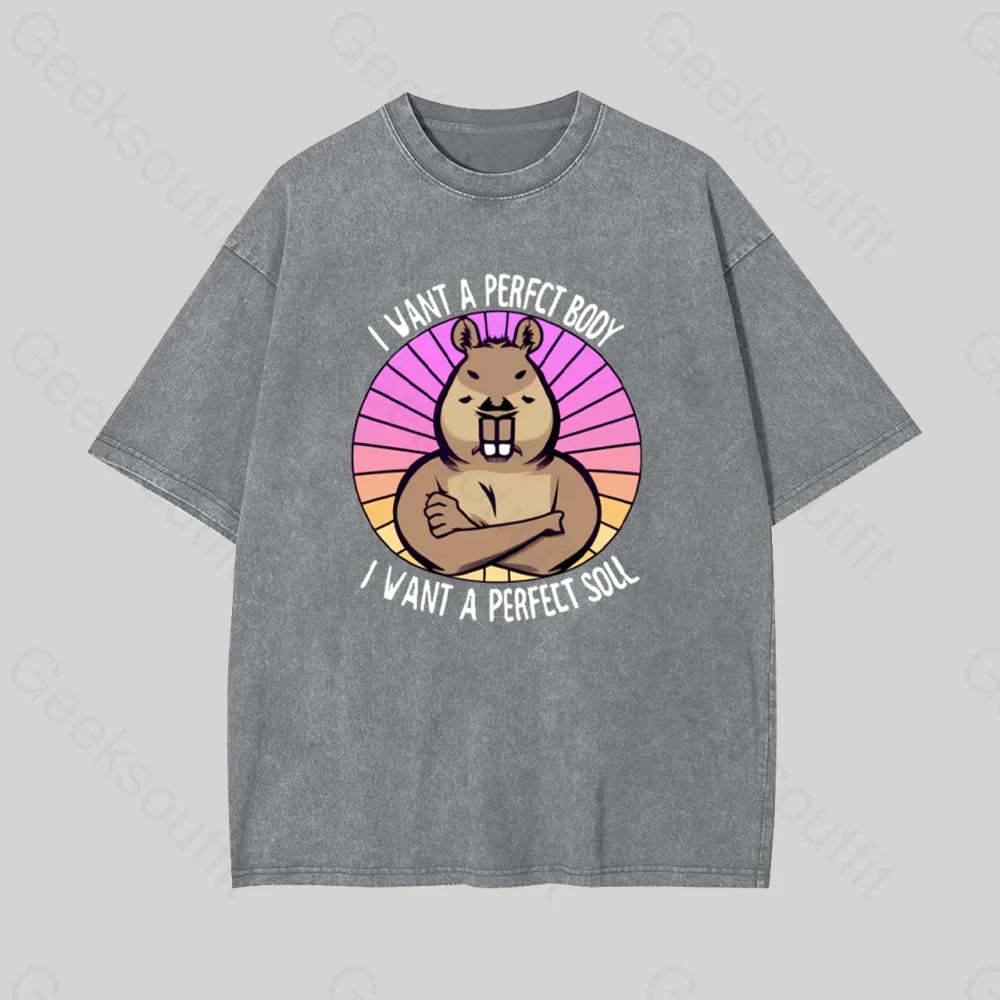 Funny Capybara Geek Washed T-Shirt Grey / S