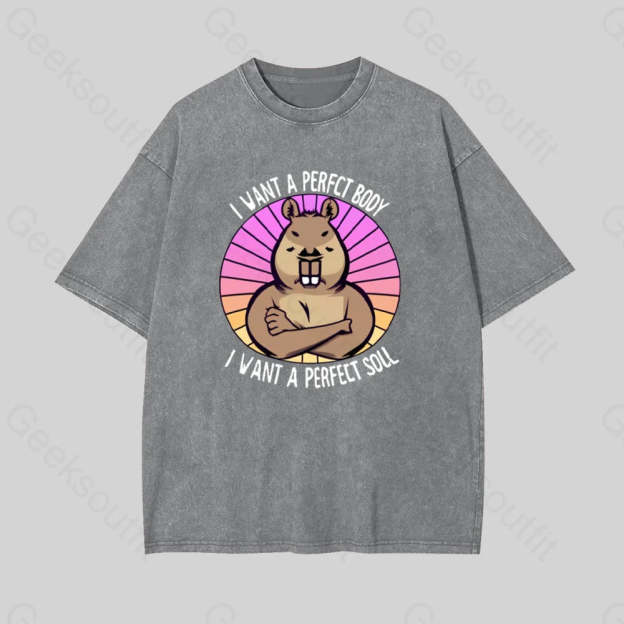 Funny Capybara Geek Washed T-Shirt Grey / S