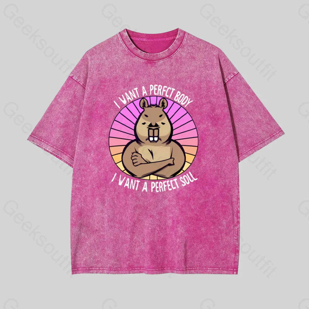Funny Capybara Geek Washed T-Shirt Rose Red / S