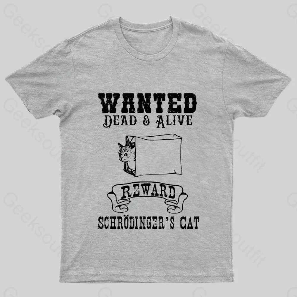 Funny Physics Quantum Mechanics Science Joke Nerd T-Shirt Grey / S