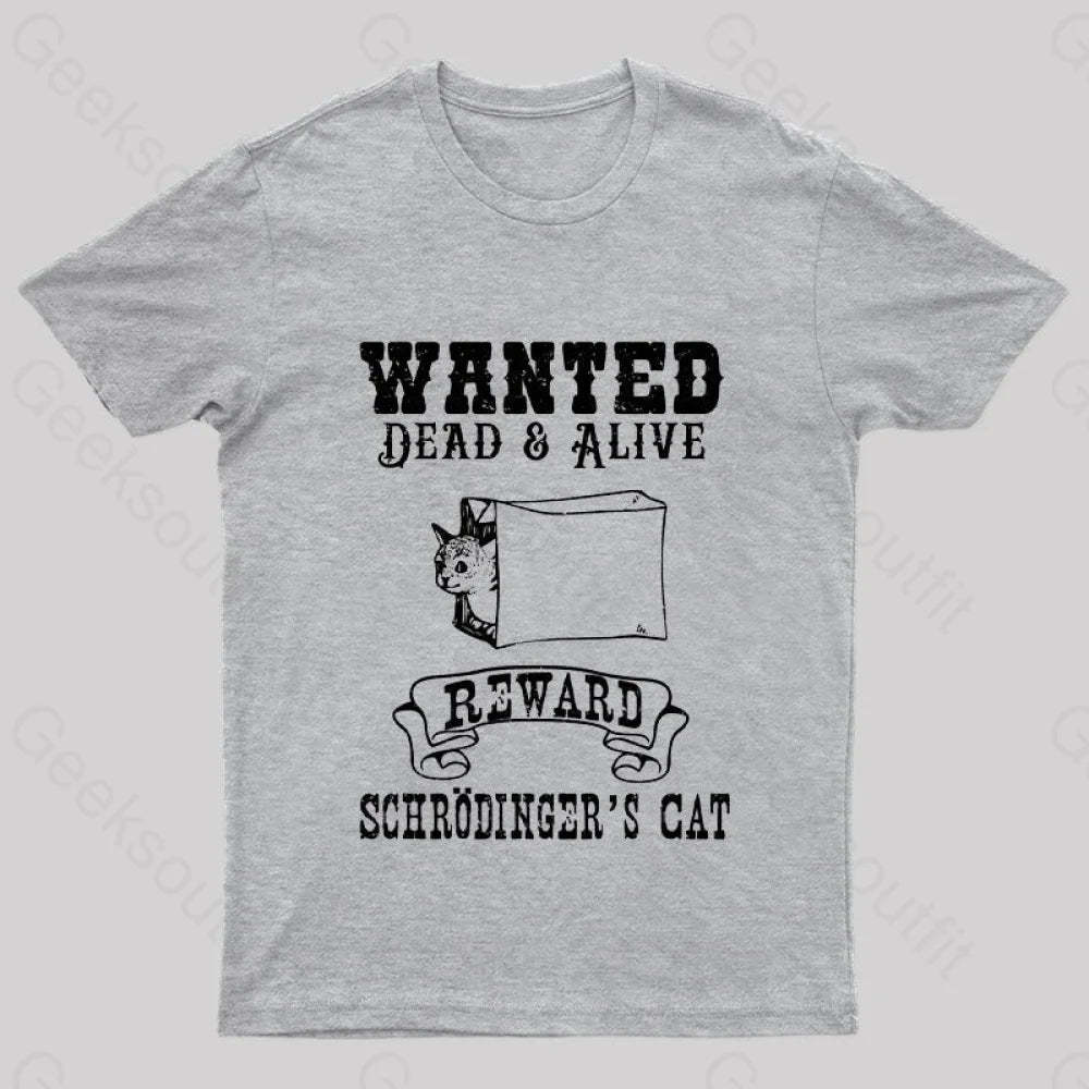 Funny Physics Quantum Mechanics Science Joke Nerd T-Shirt Grey / S