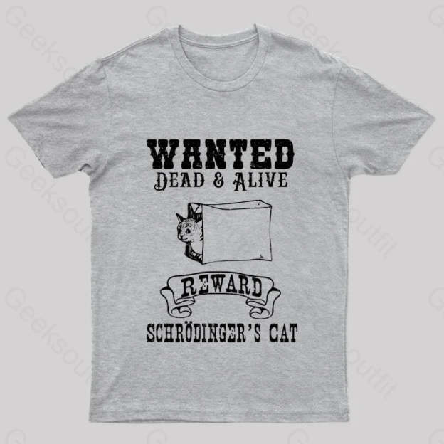 Funny Physics Quantum Mechanics Science Joke Nerd T-Shirt Grey / S