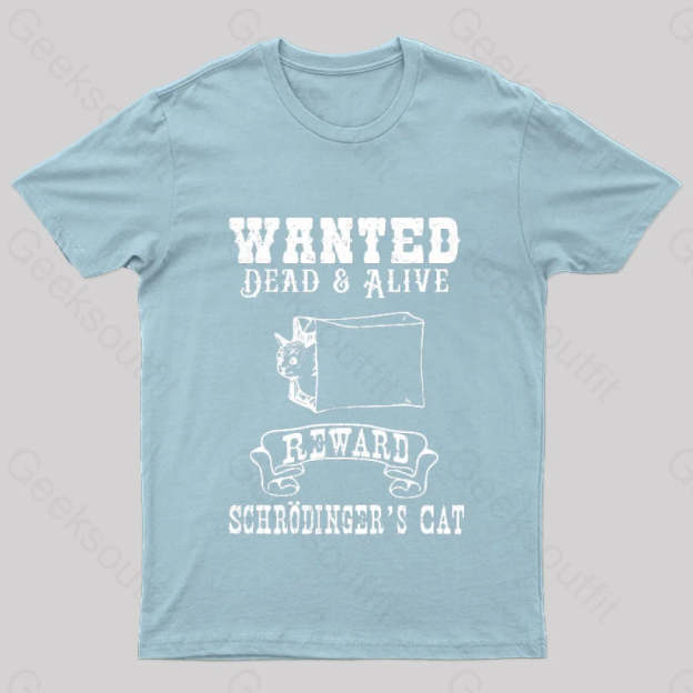 Funny Physics Quantum Mechanics Science Joke Nerd T-Shirt Light Blue / S