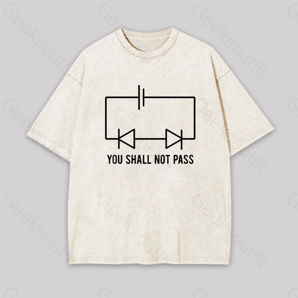 Funny Physics Shall Not Pass Geek Washed T-Shirt Apricot / S