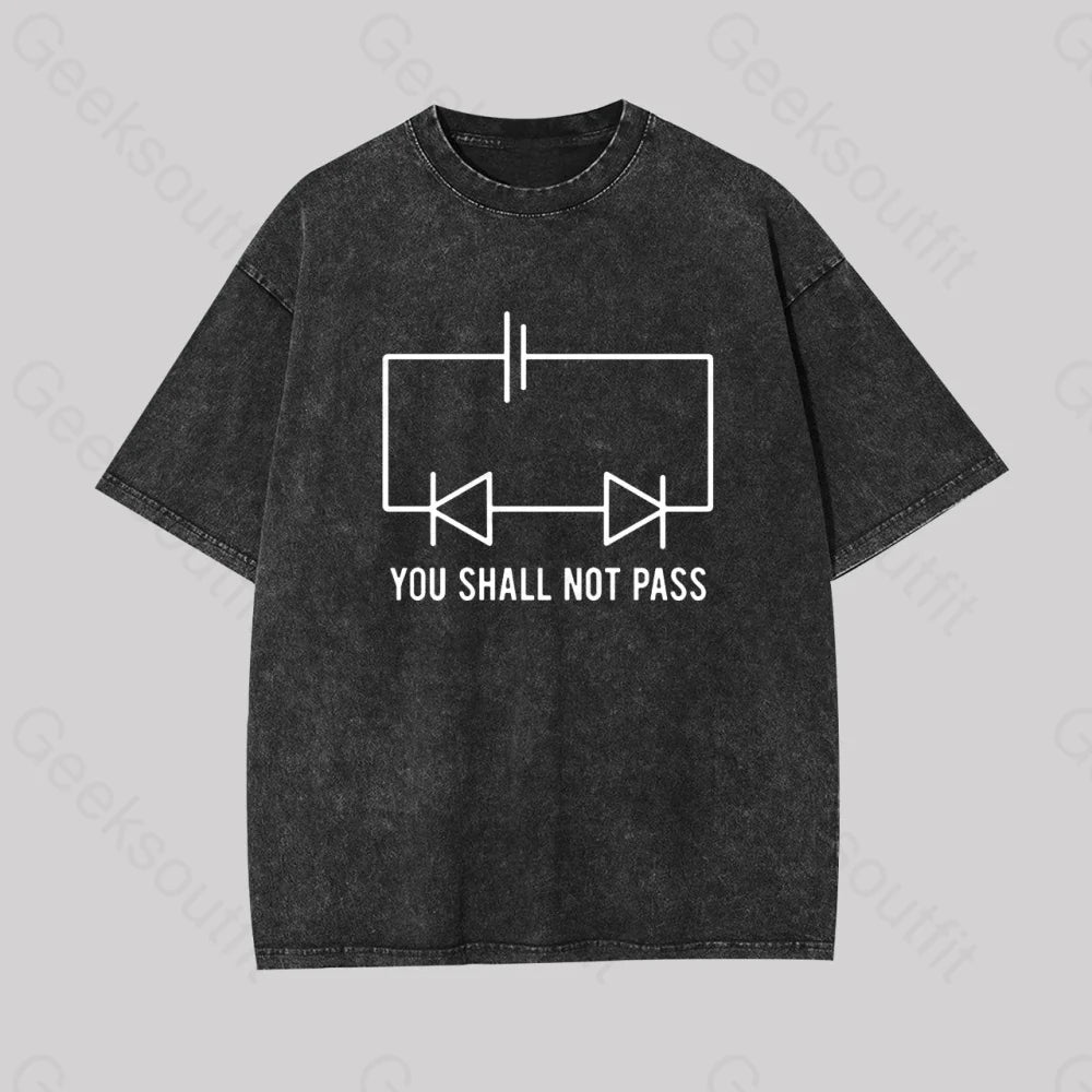 Funny Physics Shall Not Pass Geek Washed T-Shirt Black / S