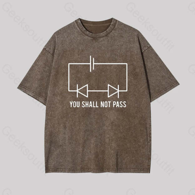 Funny Physics Shall Not Pass Geek Washed T-Shirt Coffee / S