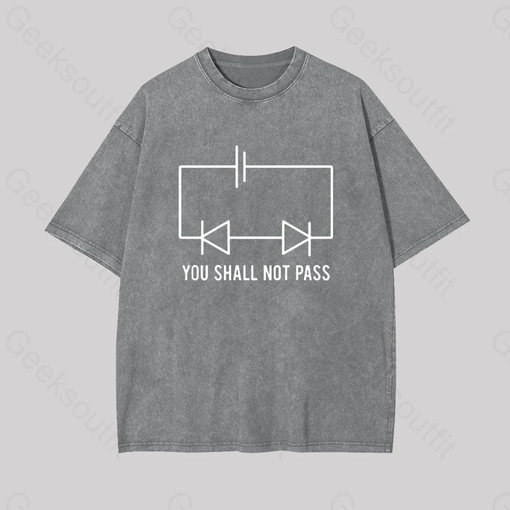 Funny Physics Shall Not Pass Geek Washed T-Shirt Grey / S
