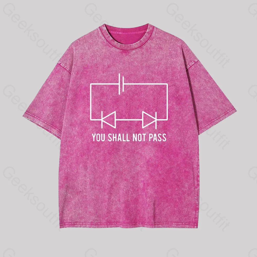 Funny Physics Shall Not Pass Geek Washed T-Shirt Rose Red / S