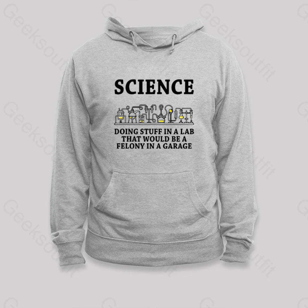 Funny Science Definition Hoodie Grey / S