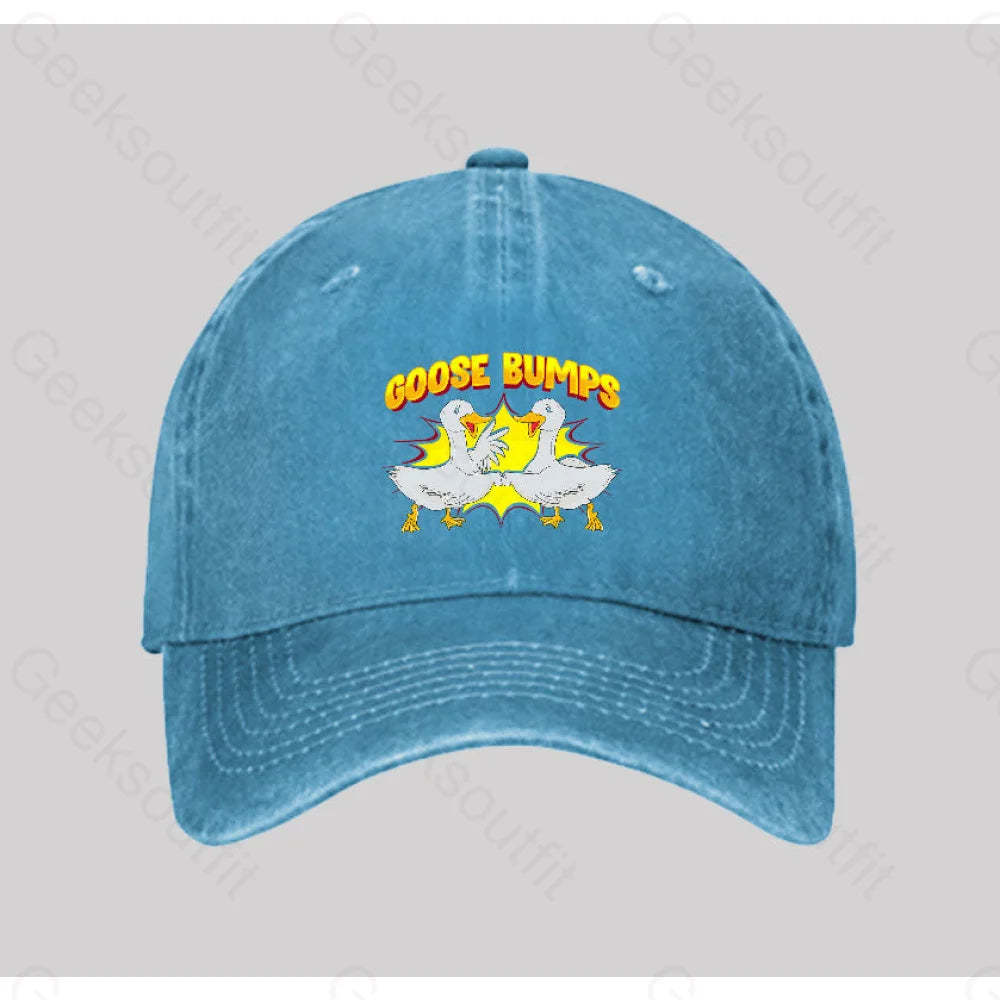 Goose Bumps Washed Vintage Baseball Cap Blue