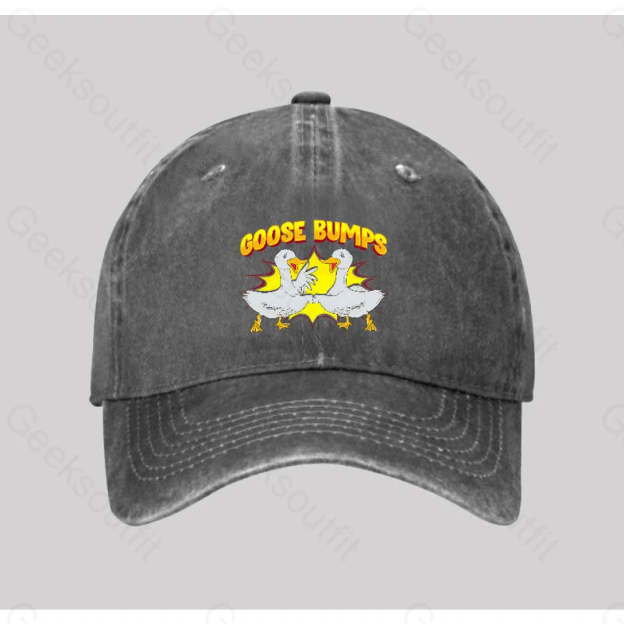 Goose Bumps Washed Vintage Baseball Cap Grey
