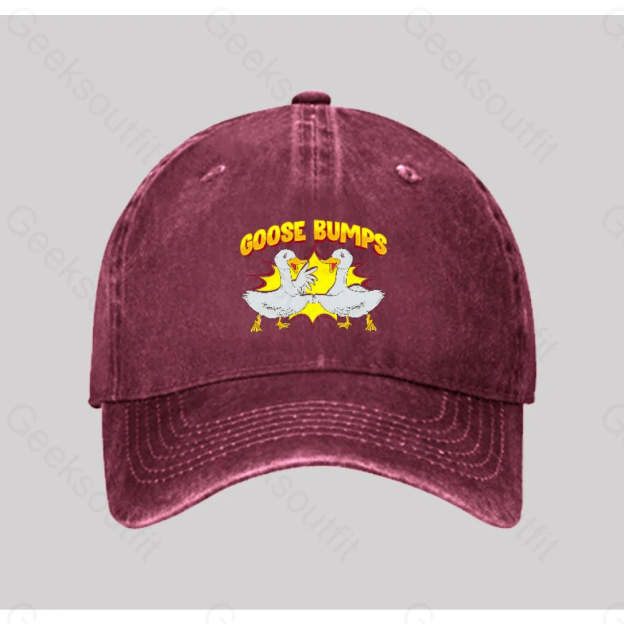 Goose Bumps Washed Vintage Baseball Cap Red