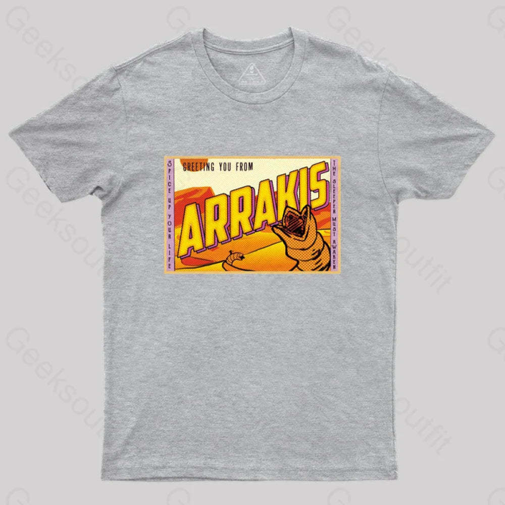 Greetings From Arrakis! T-Shirt Grey / S