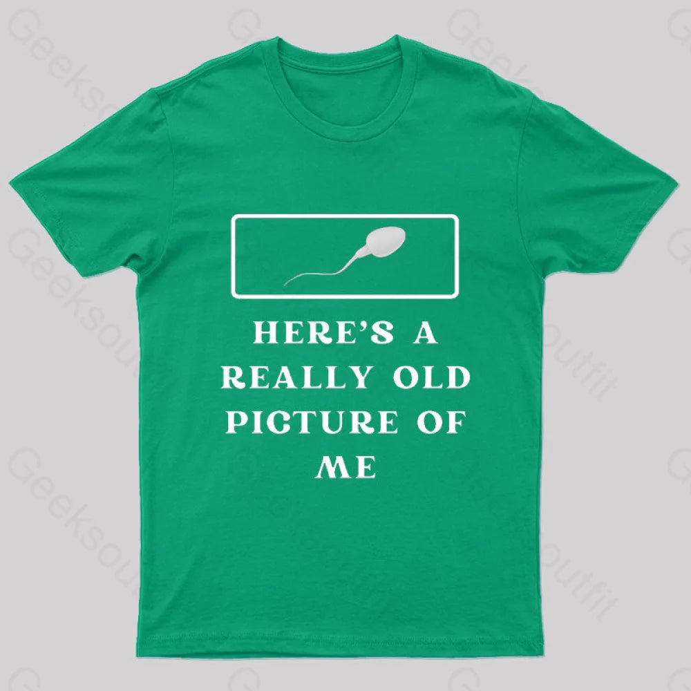 Here Is A Really Old Picture Of Me Nerd T-Shirt Green / S