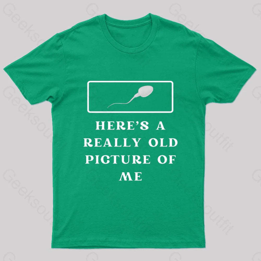 Here Is A Really Old Picture Of Me Nerd T-Shirt Green / S