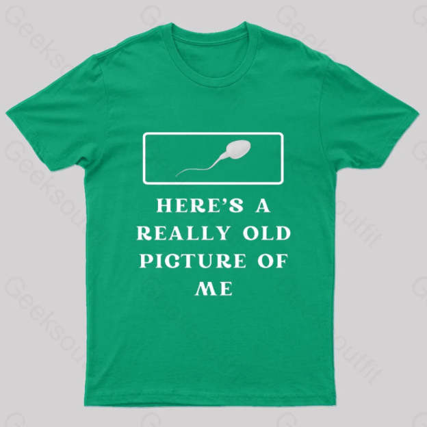 Here Is A Really Old Picture Of Me Nerd T-Shirt Green / S
