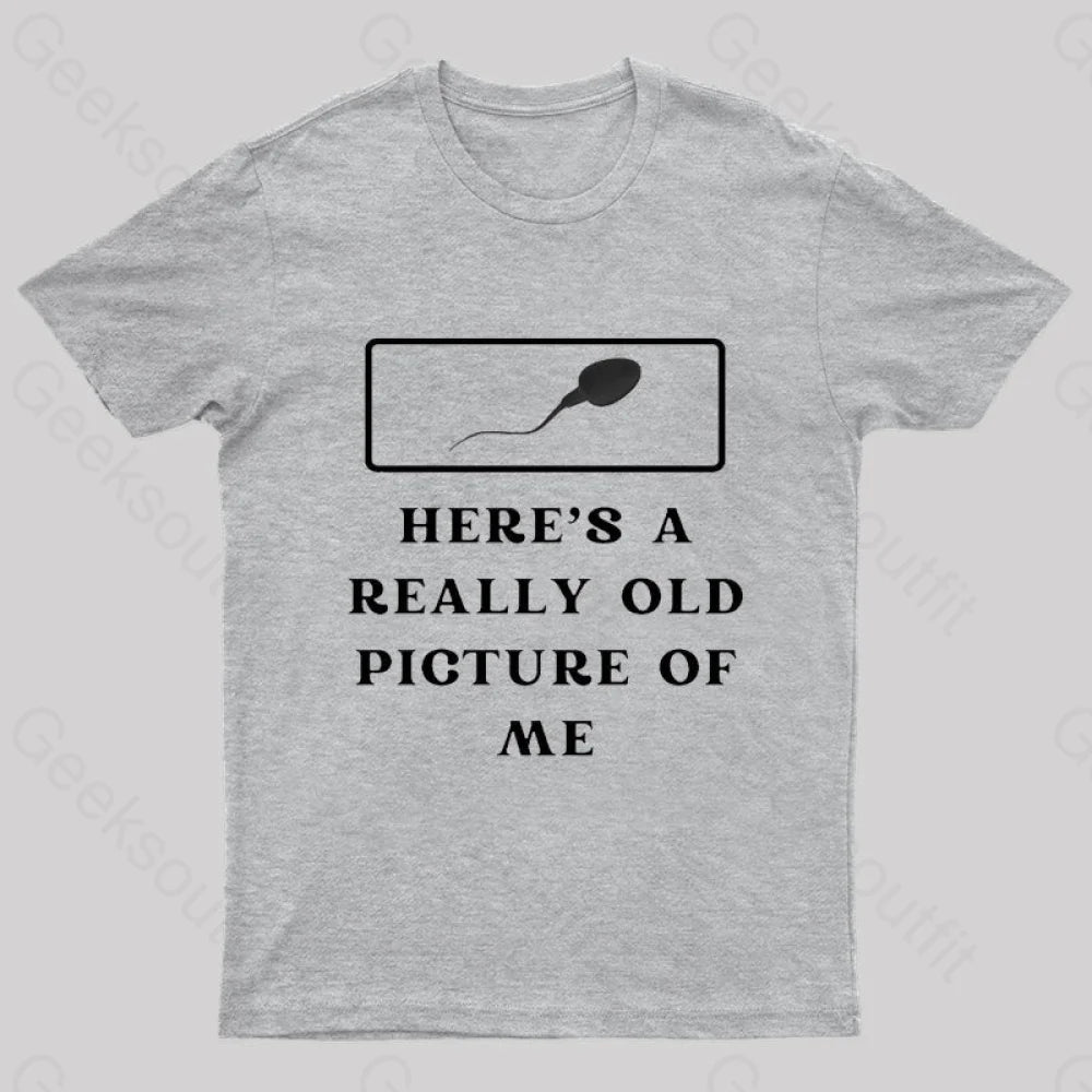 Here Is A Really Old Picture Of Me Nerd T-Shirt Grey / S