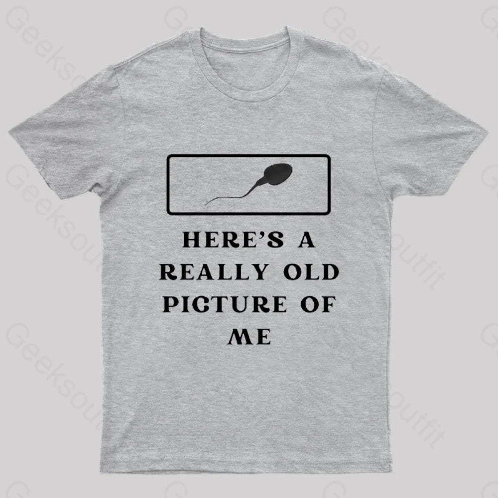Here Is A Really Old Picture Of Me Nerd T-Shirt Grey / S