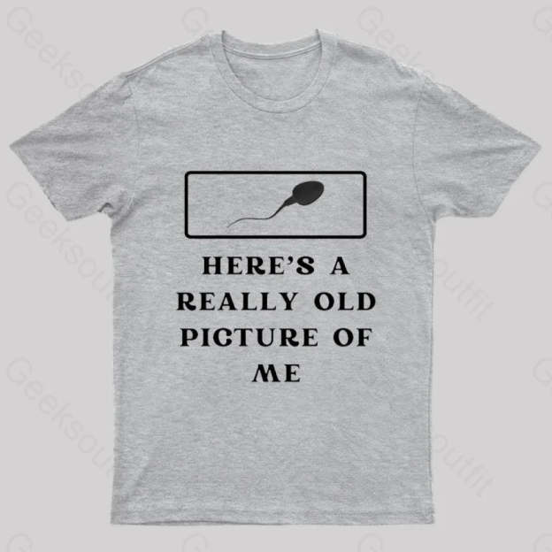 Here Is A Really Old Picture Of Me Nerd T-Shirt Grey / S