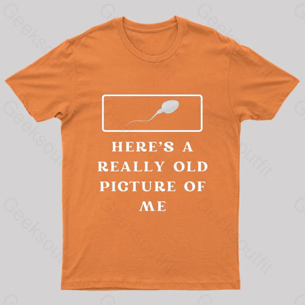 Here Is A Really Old Picture Of Me Nerd T-Shirt Orange / S