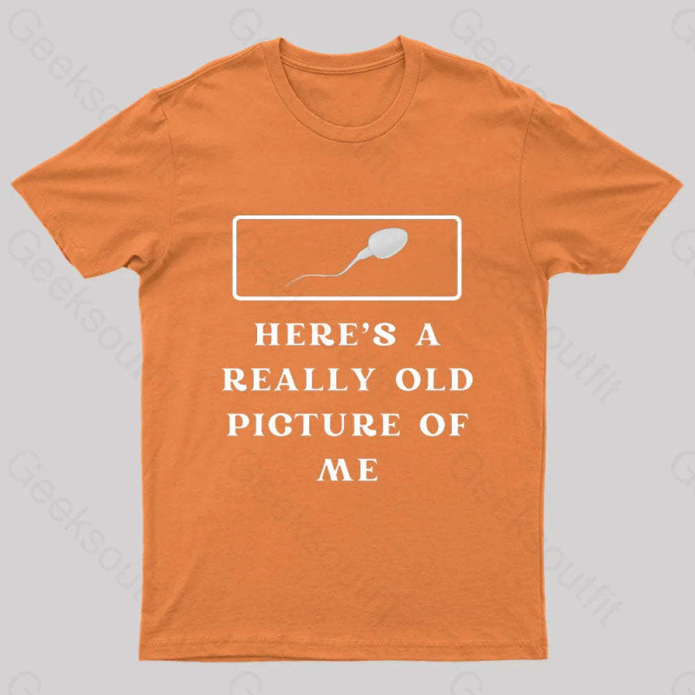 Here Is A Really Old Picture Of Me Nerd T-Shirt Orange / S