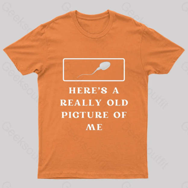 Here Is A Really Old Picture Of Me Nerd T-Shirt Orange / S