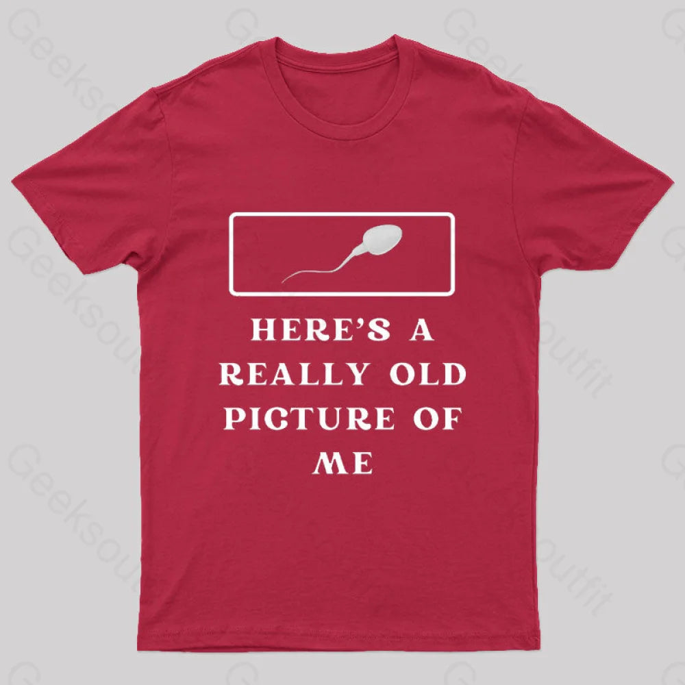 Here Is A Really Old Picture Of Me Nerd T-Shirt Red / S