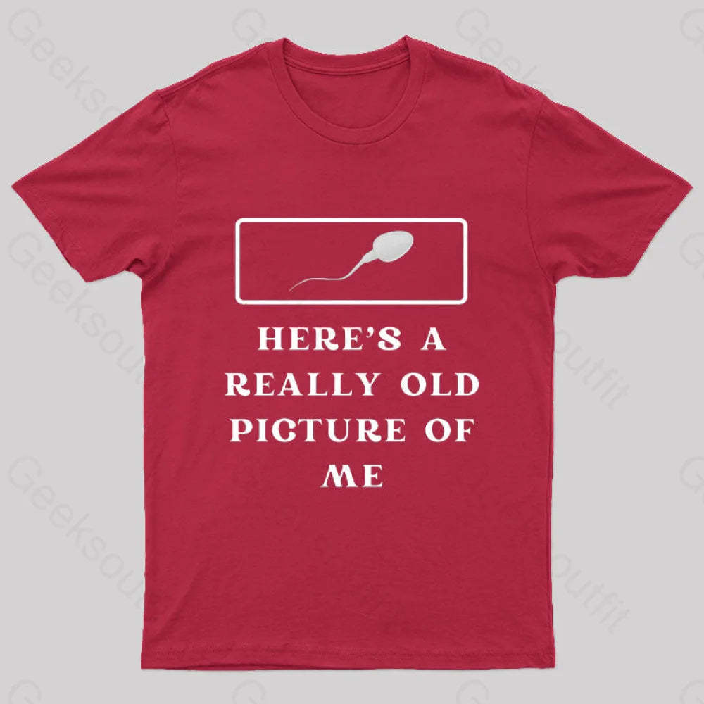 Here Is A Really Old Picture Of Me Nerd T-Shirt Red / S
