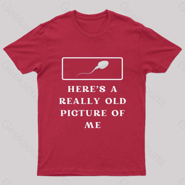 Here Is A Really Old Picture Of Me Nerd T-Shirt Red / S