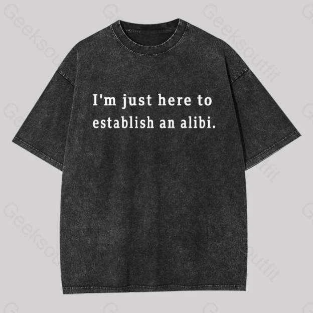 Here To Establish An Alibi Geek Washed T-Shirt Black / S