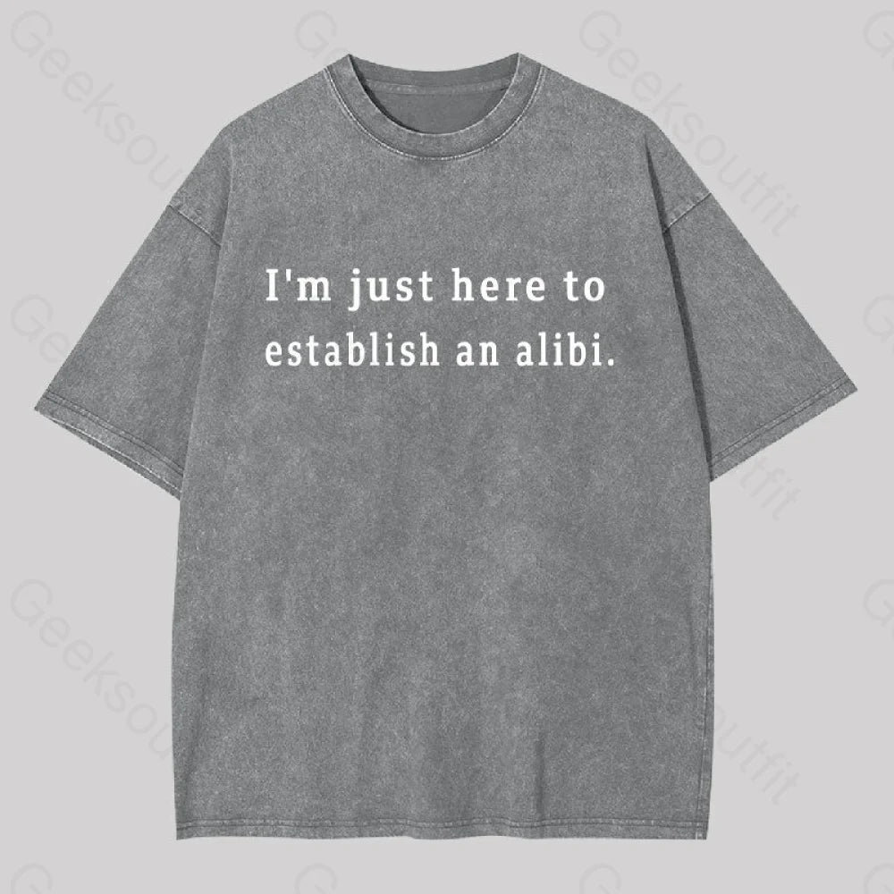 Here To Establish An Alibi Geek Washed T-Shirt Grey / S