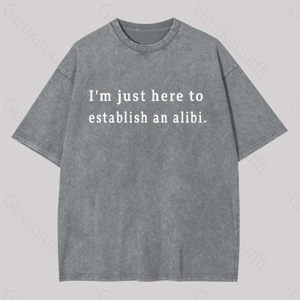 Here To Establish An Alibi Geek Washed T-Shirt Grey / S