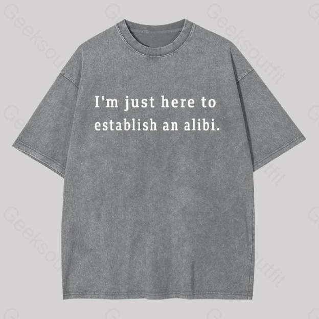 Here To Establish An Alibi Geek Washed T-Shirt Grey / S
