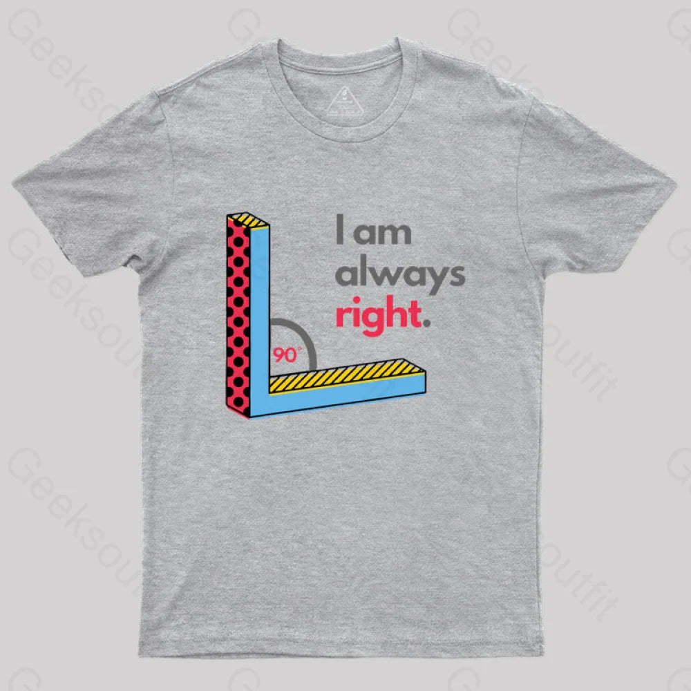 I Am Always Right Funny Math T-Shirt Grey / S