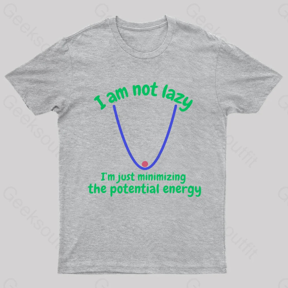 I Am Just Minimizing The Potential Energy Nerd T-Shirt Grey / S