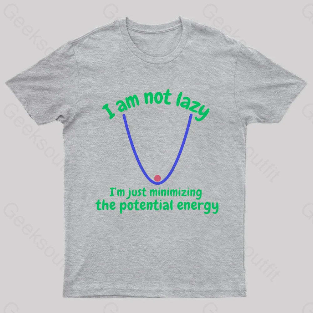 I Am Just Minimizing The Potential Energy Nerd T-Shirt Grey / S