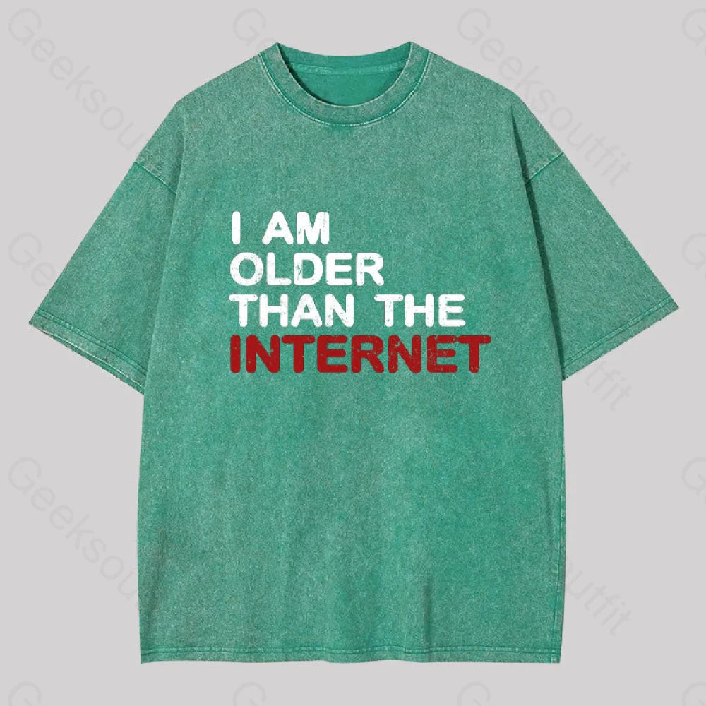 I Am Older Than The Internet Geek Washed T-Shirt Grass Green / S