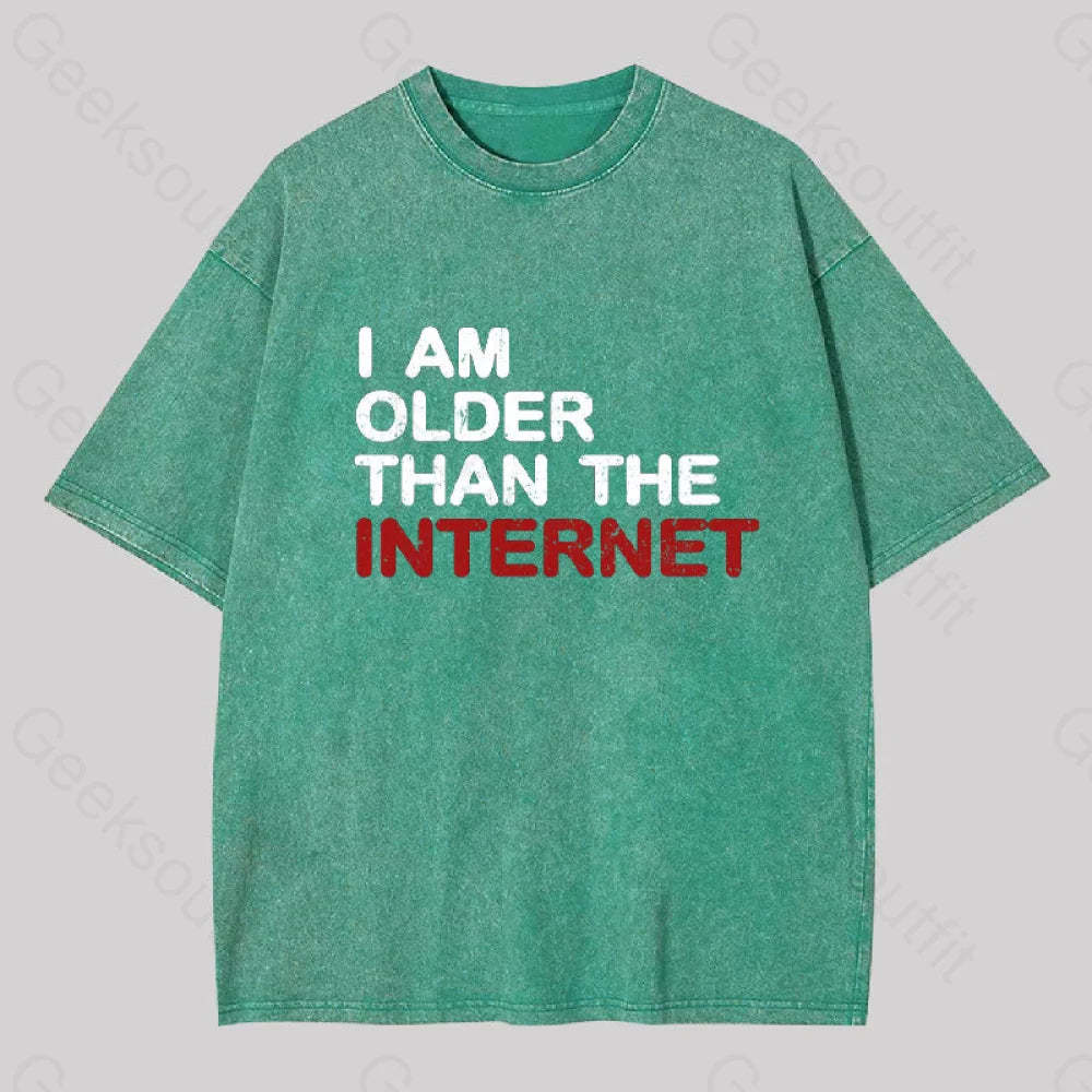 I Am Older Than The Internet Geek Washed T-Shirt Grass Green / S