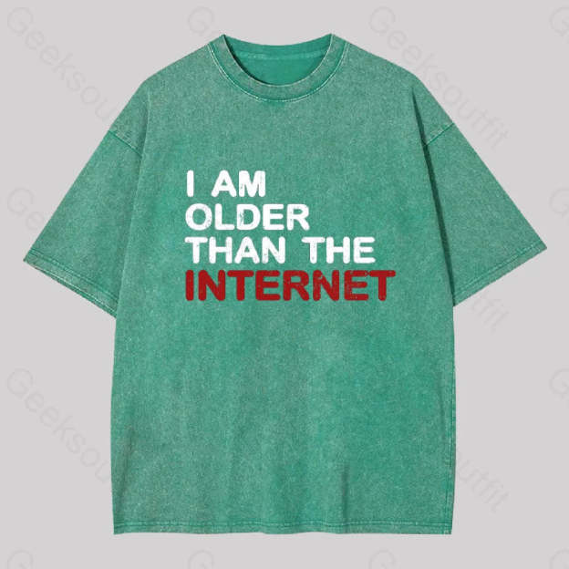 I Am Older Than The Internet Geek Washed T-Shirt Grass Green / S