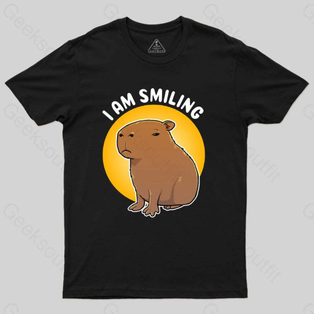 I Am Smiling T-Shirt Black / S