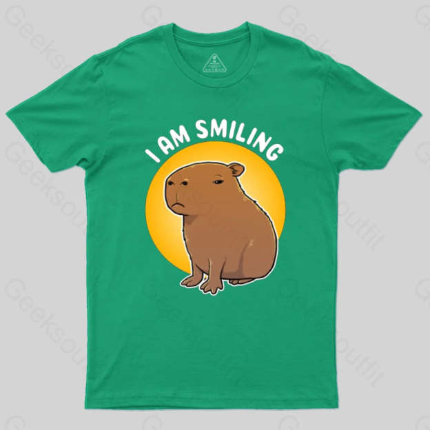 I Am Smiling T-Shirt Green / S