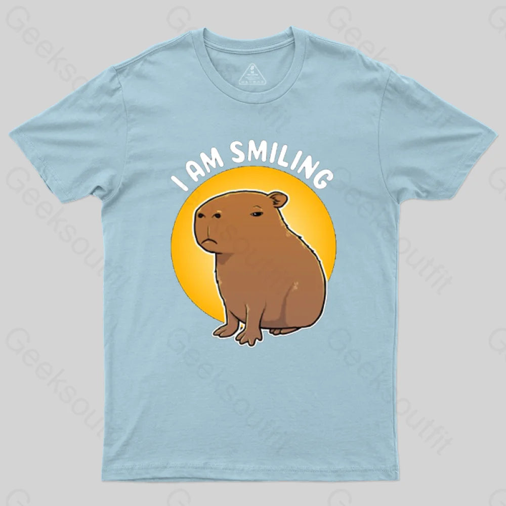 I Am Smiling T-Shirt Light Blue / S
