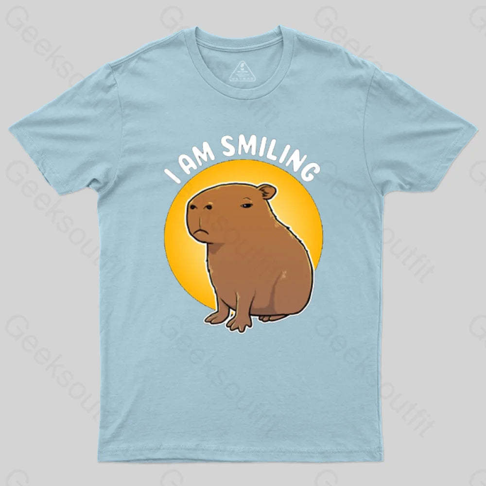 I Am Smiling T-Shirt Light Blue / S