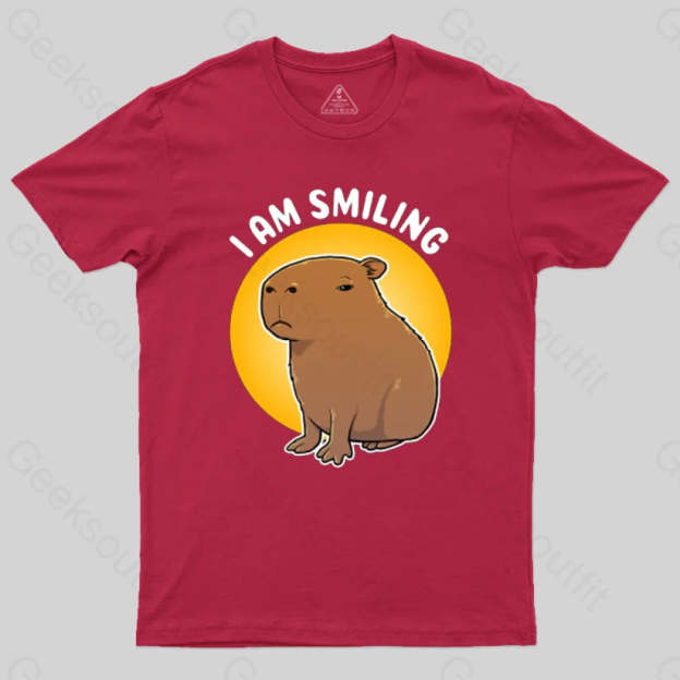 I Am Smiling T-Shirt Red / S