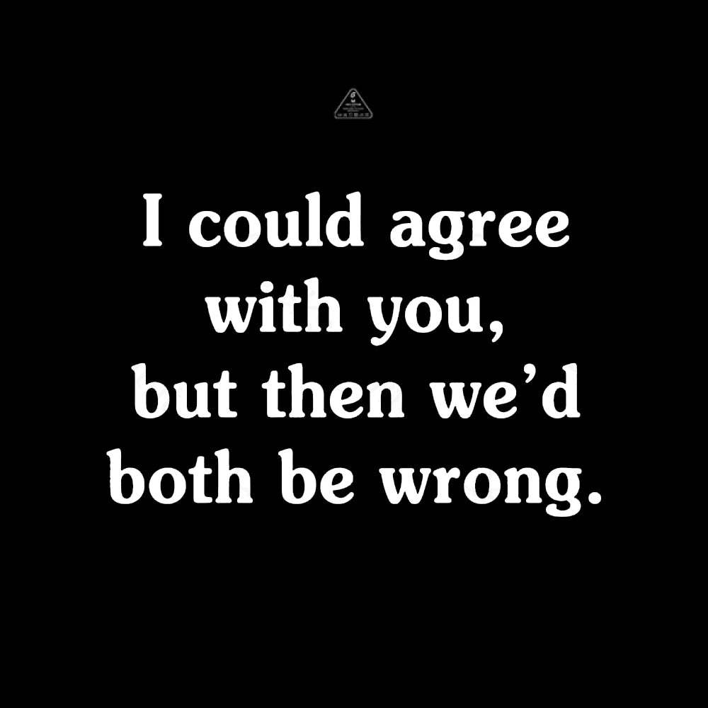 I Could Agree With You T-Shirt - Geeksoutfit