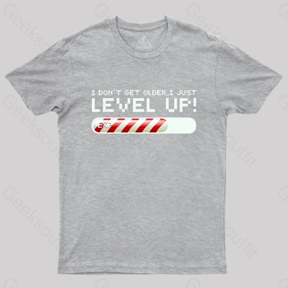 I Don’t Get Older Just Level Up! T-Shirt Grey / S Yc